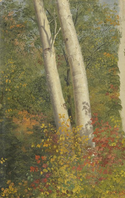 Birch Trees in Autumn by Frederic Edwin Church